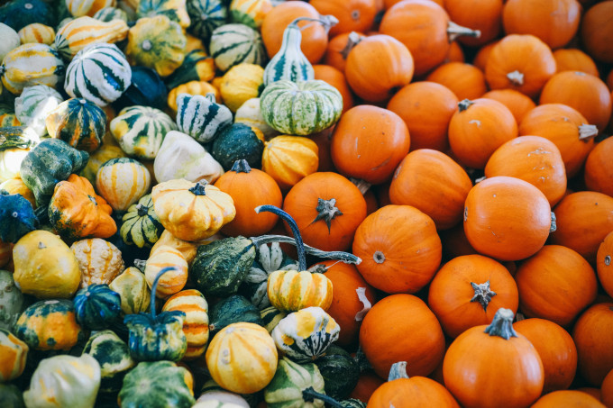 Az ősz nemcsak színekben, hanem finom ízekben is gazdag.